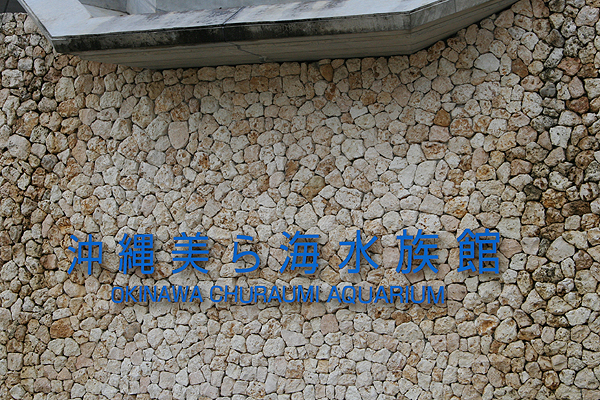 ��������������J�͎~��ł���