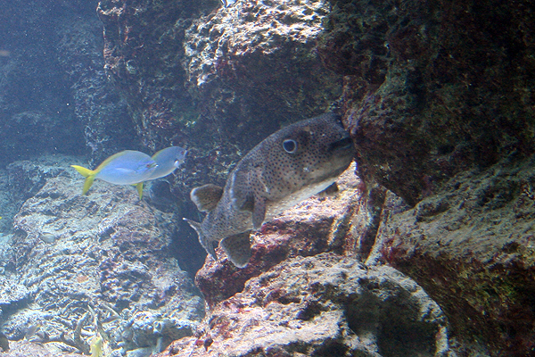 ���̎p��z������ƥ���i�܁j