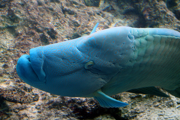 ���O�͖Y�ꂽ