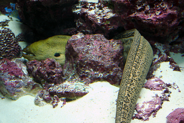 ���̑����炢�͂�����