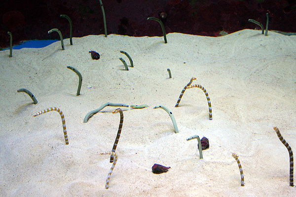 �^�񒆂�����ł��߂Ă܂�