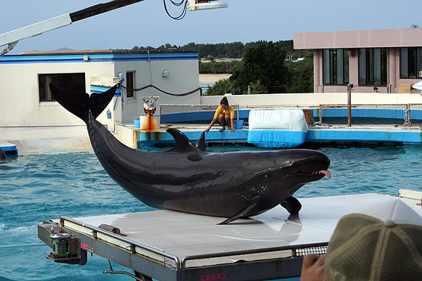 ��o���Ă܂�