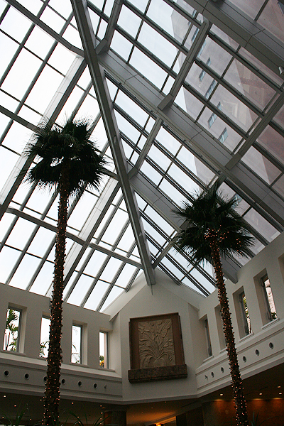 �V�䂪����