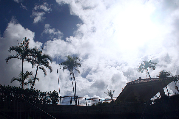 ����������