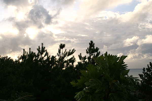 �����ĎB����Ă����񂾂���