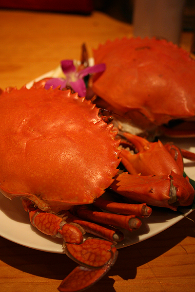 ���\�傫��