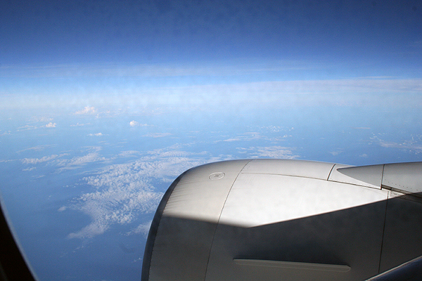 �������Ă邤���ɒ�����